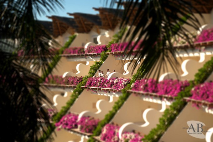 fotografobodarivieramaya001