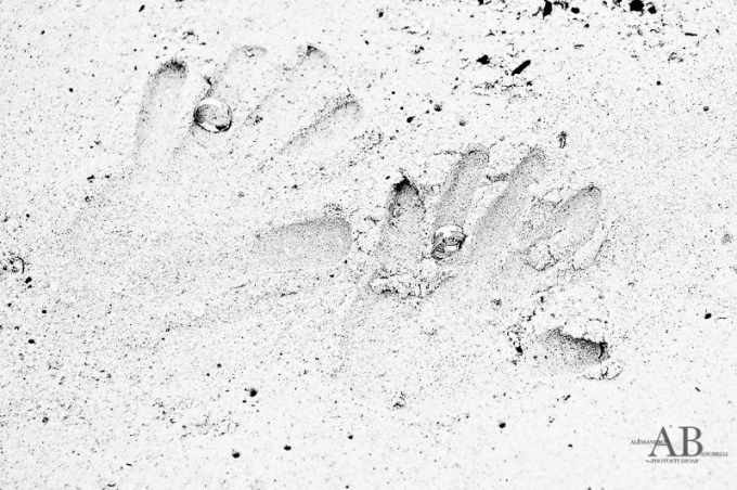 TTDplayadelcarmen001