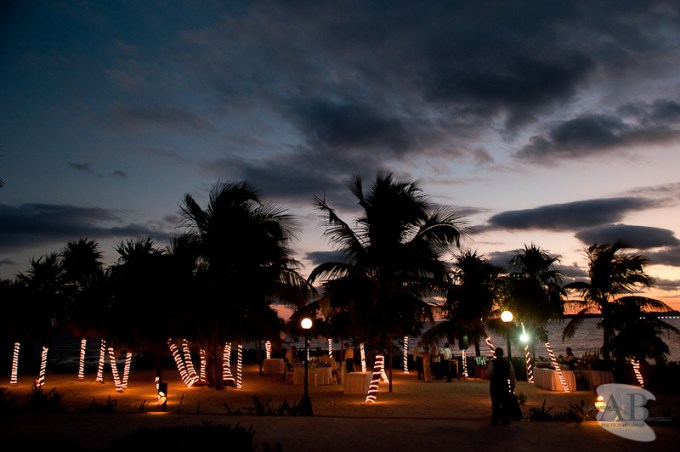 weddingphotoplayadelcarmen016