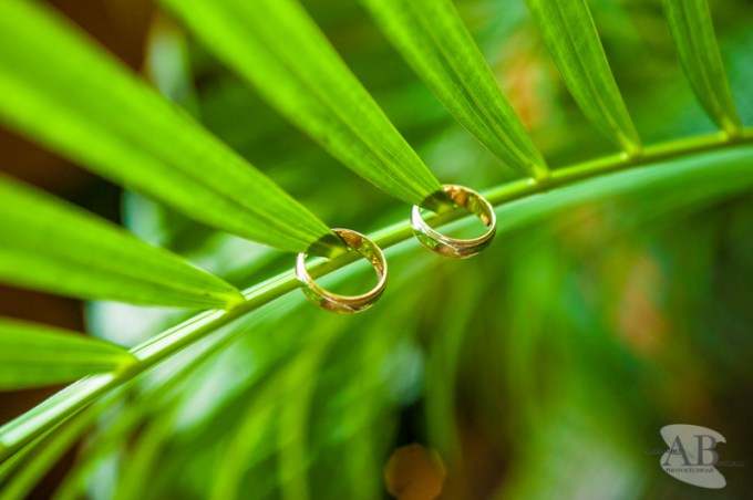 photographer mexico002