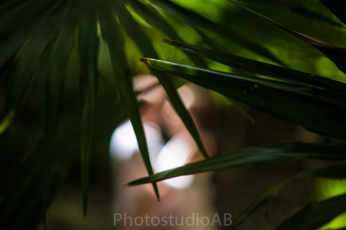 ttdplayadelcarmenboda13