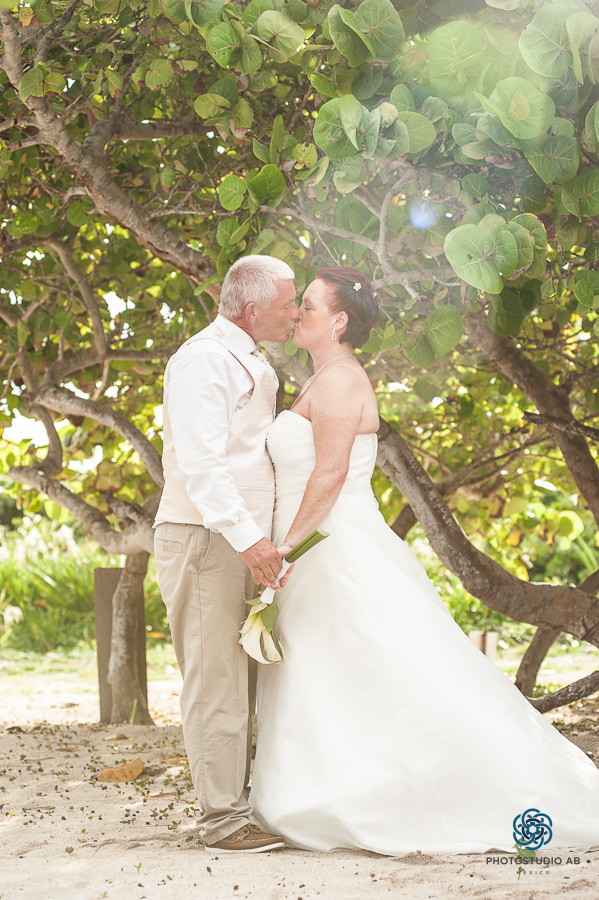 Dianephotostudioab011