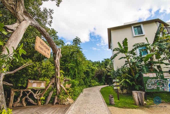 Weddingrivieramaya01