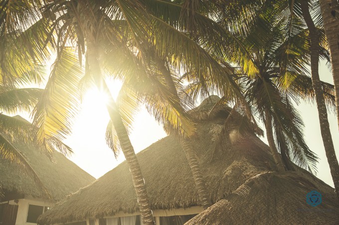 Destweddingrivieramaya007