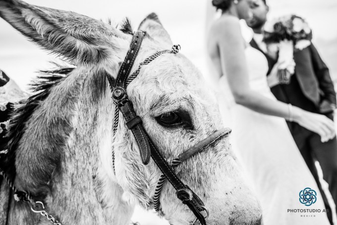 Destinationweddingrivieramaya031