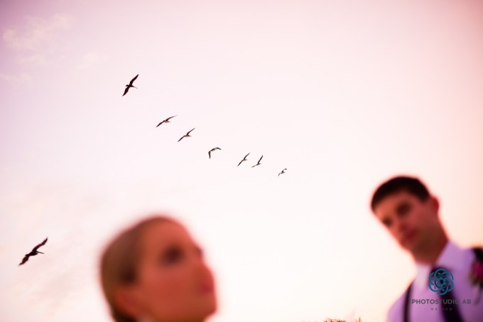 nowsapphirerivieracancunwedding